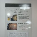 현대옥봉동점 이미지