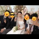 테이블그라피 - 양평군 관문길22번길 7 | [DVD]더파티움안양 비바그라피 수령후기 내돈내산