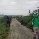 제방도로 이미지