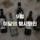 선상주류아울렛 이미지