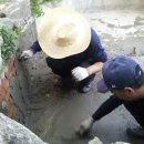 푸른샘농장 이미지