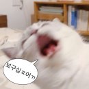 7月정산 Part.2