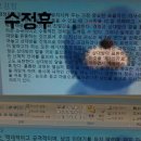 하이바오 이미지