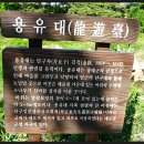 단구대 이미지