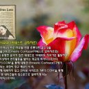 가을꽃과 Ernesto Cortazar의 뉴에이지 10곡 &amp; photo by 모모수계 이미지