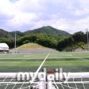 동면 체육공원 마이데일리