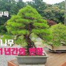 H4286 이미지
