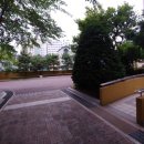 동진 태양광발전소 이미지