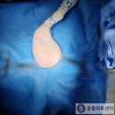 참동물의료센터 이미지