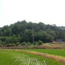완산-62 이미지