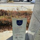 달코마이 이미지