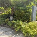 가든수목정 이미지