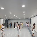 안성하늘태권도