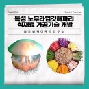 글로벌케이