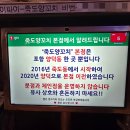 [또간집] [포항양갈비 맛집] 죽도양꼬치 본점 대만족후기 (프렌치랙, 지삼선, 크림새우)
