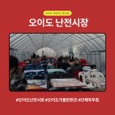 오이도 어촌계 난전시장, 비닐하우스 감성에 아이스박스 챙겨간 후기