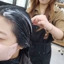 라무드헤어 이미지
