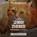 스마트동물병원군자점 이미지