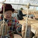 김인숙 농장 이미지