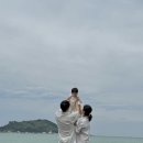 협재숲 네이버블로그