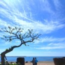 바다와 산사이 이미지