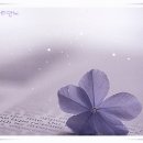 목련2단지대우.선경 이미지