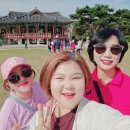 대한노인회 군산시지회 이미지