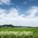 (주)시루산 이미지