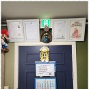 청홍안마원 이미지