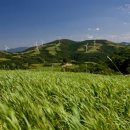 만수목장 이미지