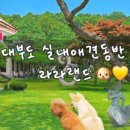 네이베이 솔리드 이미지