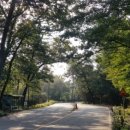 광릉수목원 이미지