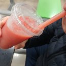 💖트레이더스 수박스무디 맛, 후기, 가격, 만드는 동영상