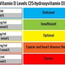 Pharmacokinetics of vitamin D toxicity 이미지