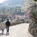 둥굴농원