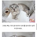 가인쉼터 이미지