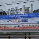 일출약초