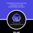 동탄영천로 이미지