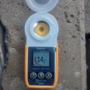 동백농장 이미지