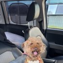 달곰달곰 이미지