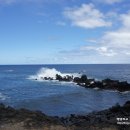 ROAD TO HANA 이미지