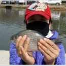 용담낚시터 이미지