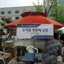 하루배움 체험 특강 이미지