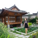 청화대 이미지