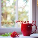 넝쿨커피