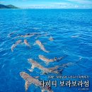 타히티호텔 | 타히티섬 보라보라섬 신혼여행 추천 콘래드 리조트 숙박 후기