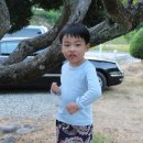 울진 숲속에 산장 펜션 이미지