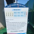명지동75호광장(테니스장) | [부산테니스장_강서구] 명지75광장 테니스장 이용방법 (update 26.6.10)