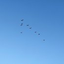 풀잎궁전 이미지