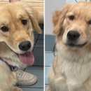 나와놀개 이미지